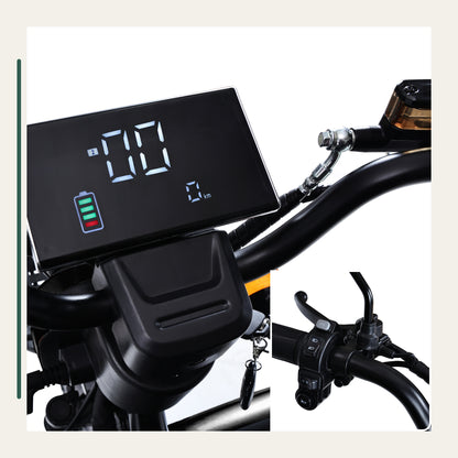 Freejoyer FV6 MAX digital display and handlebar control details