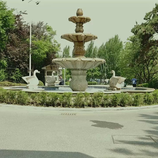 Freejoyer F7 Plus — actual vehicle on a paved park path